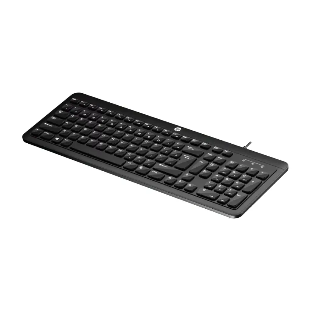 HP USB Keyboard K160