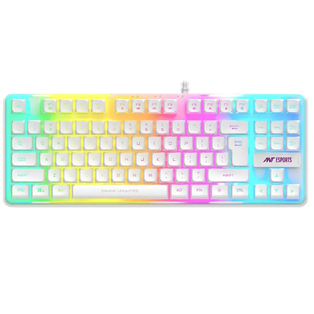 Ant Esports Gaming Keyboard USB TKL Backlit MK700V2