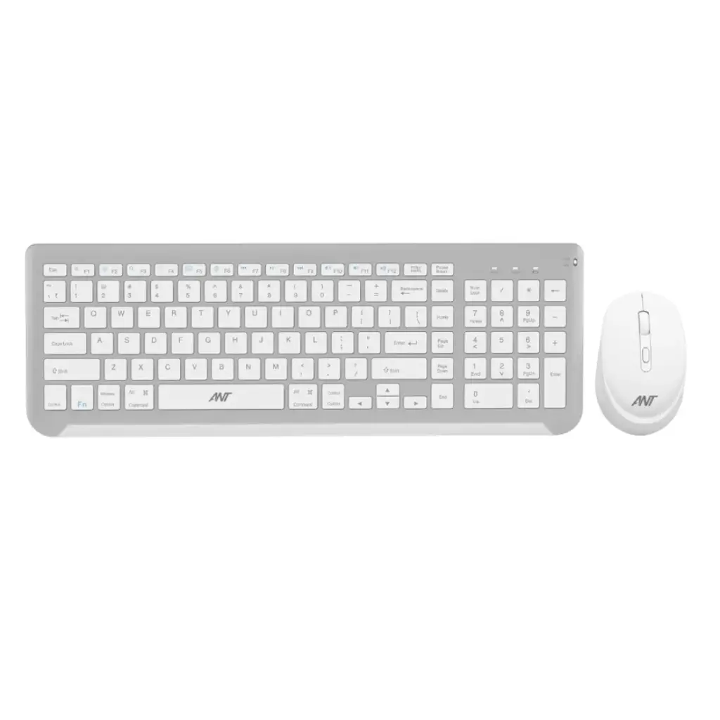 Ant Value Wireless Keyboard Mouse Combo White Silver (WK250)